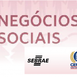 Palestra sobre Empreendedorismo em Negócios Sociais