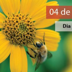 Dia da Natureza- 04 de outubro