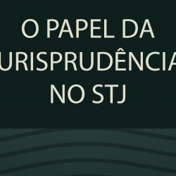 Docente participou de livro sobre o papel da jurisprudência