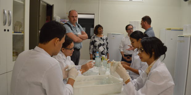 Visita aos laboratórios da Universidade Ceuma