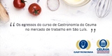 site_painel_gastronomia-PEQ